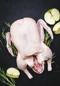 Canard - entier