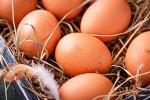 Oeufs de poule - 13 douzaines